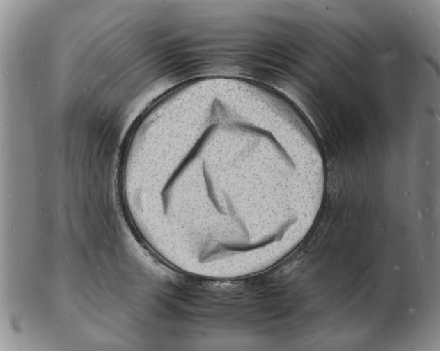 X0000102781139200809151057