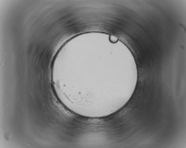 X0000102781140200809151057