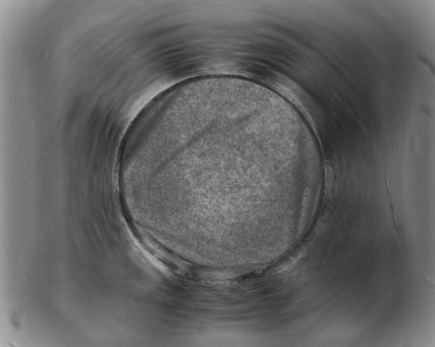 X0000102781141200809151057