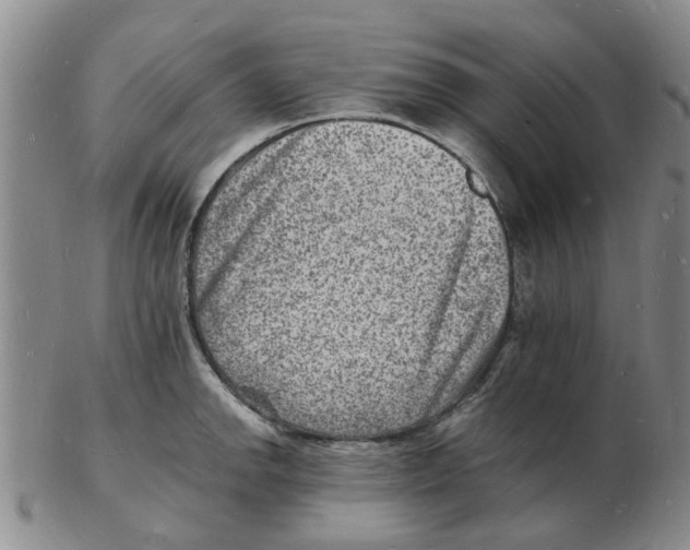 X0000102781142200809151057