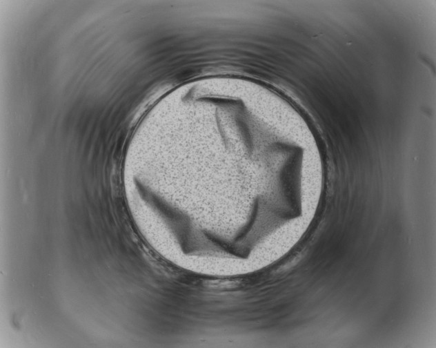 X0000102781145200809151057