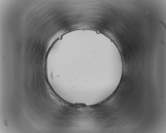 X0000102781146200809151057