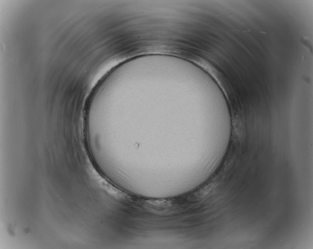 X0000102781147200809151057