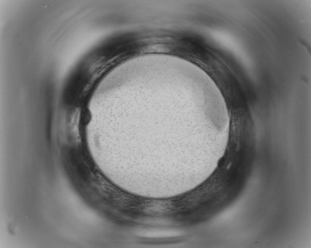 X0000102781150200809151057