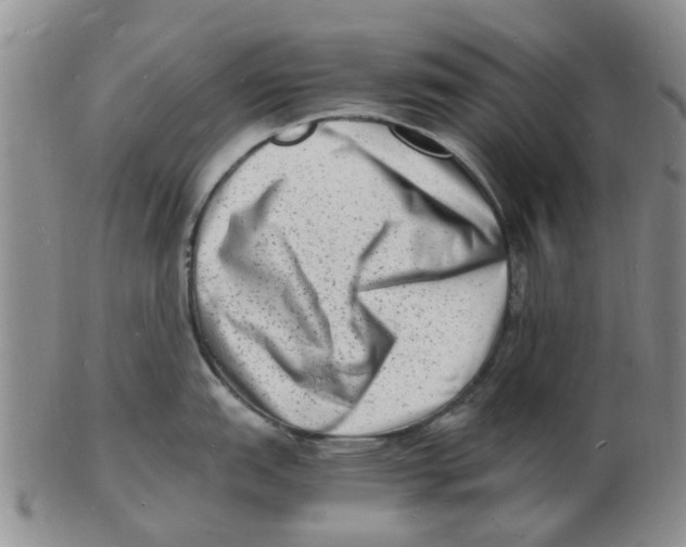 X0000102781151200809151057