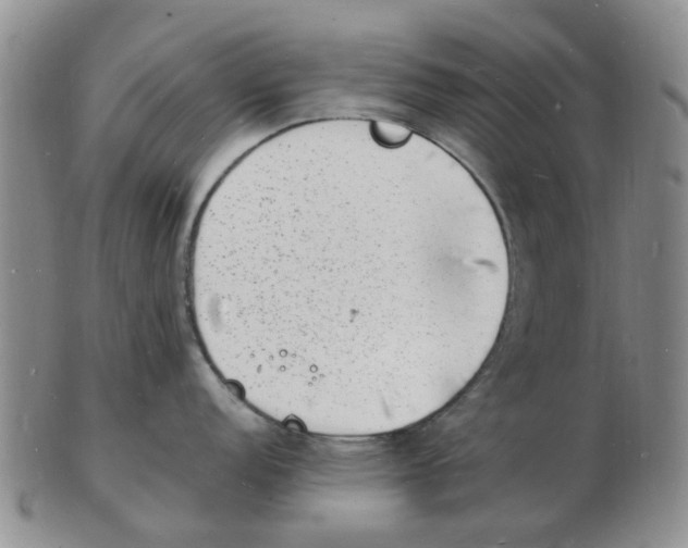 X0000102781152200809151057