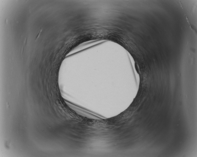 X0000102781153200809151056