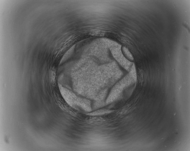 X0000102781154200809151056