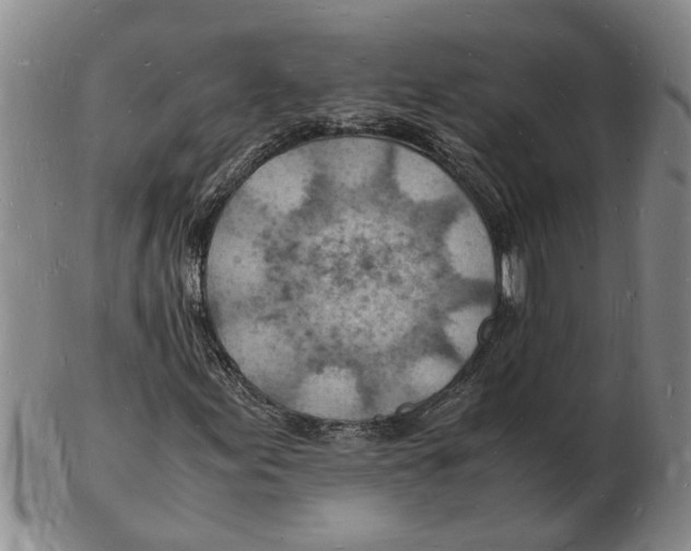 X0000102781155200809151056