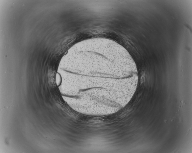 X0000102781156200809151056