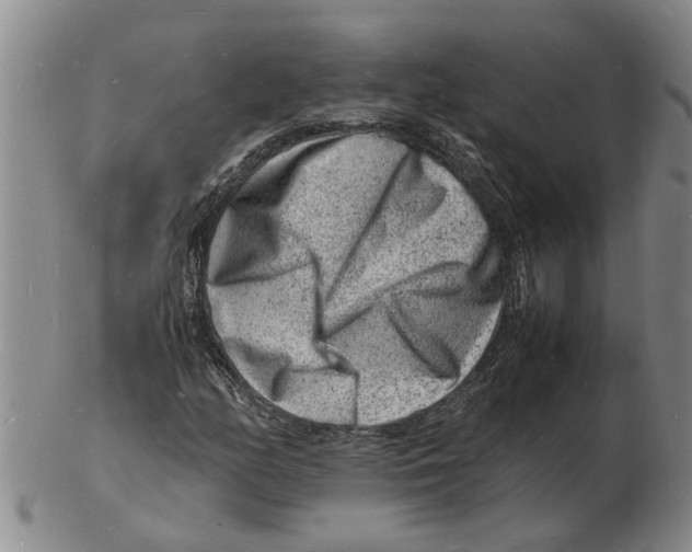 X0000102781158200809151056