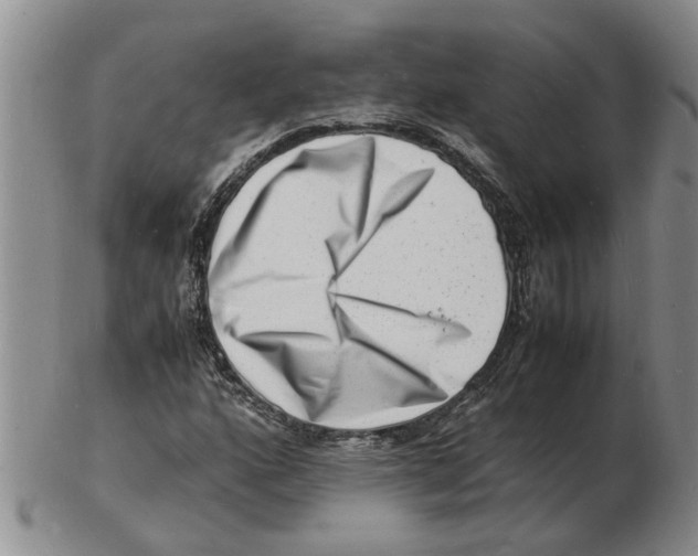 X0000102781160200809151056