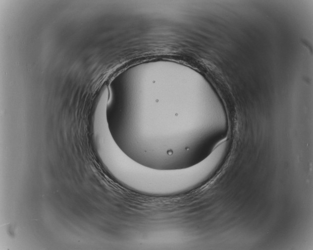 X0000102781161200809151056