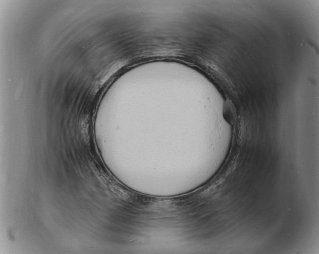 X0000102781162200809151056