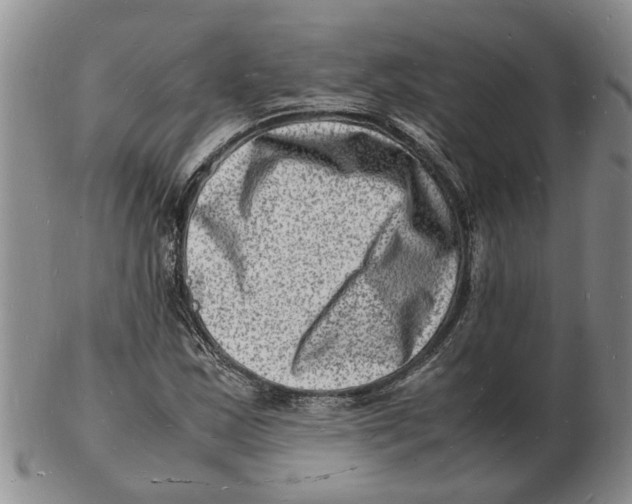 X0000102781163200809151056