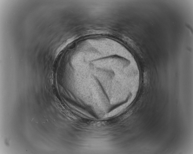 X0000102781165200809151056