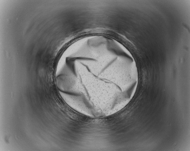 X0000102781166200809151056