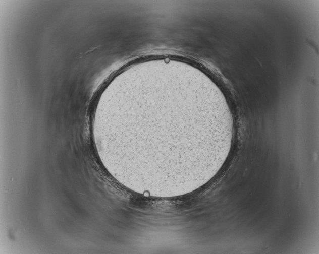 X0000102781167200809151056