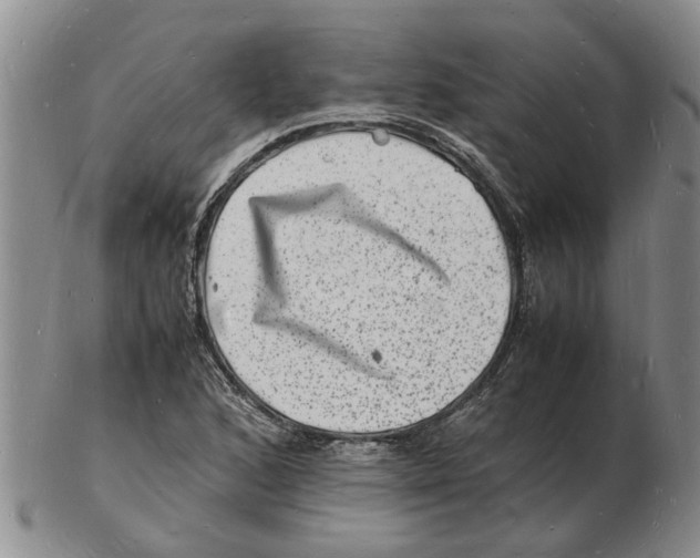 X0000102781168200809151056