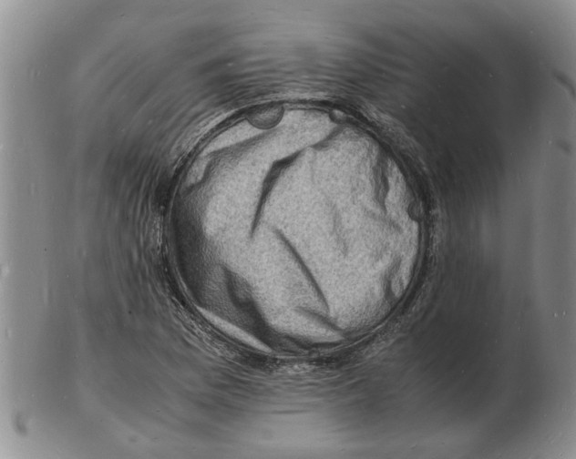 X0000102781169200809151056