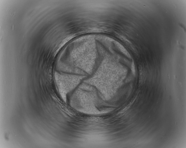 X0000102781170200809151056