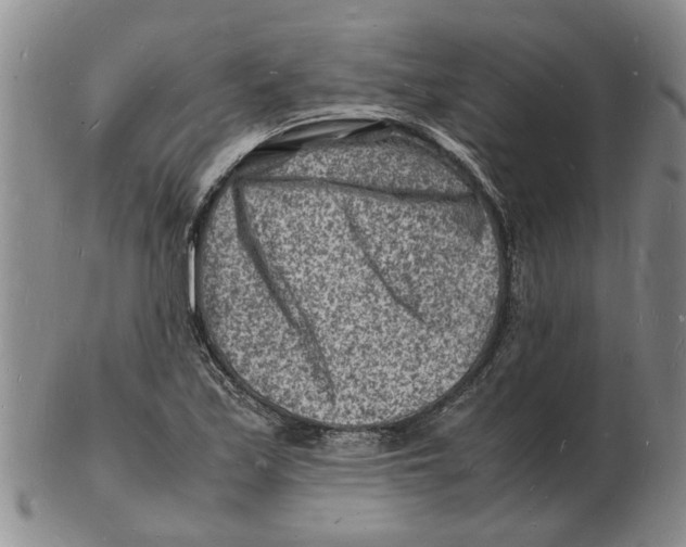 X0000102781171200809151056