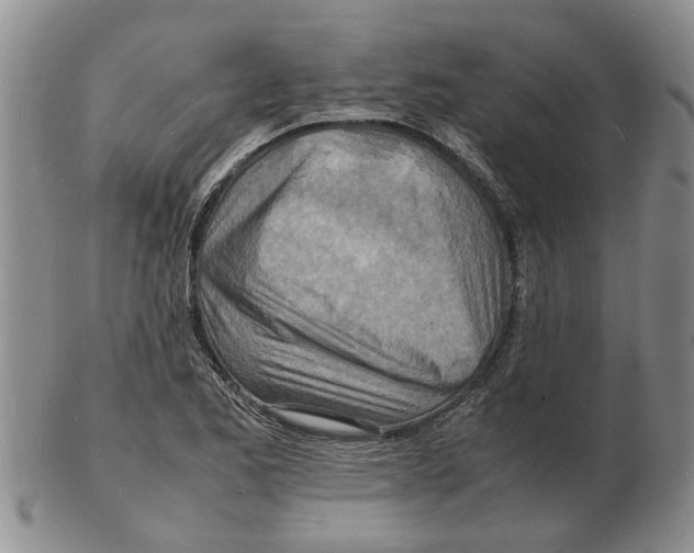 X0000102781173200809151056