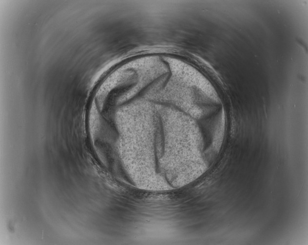 X0000102781174200809151056