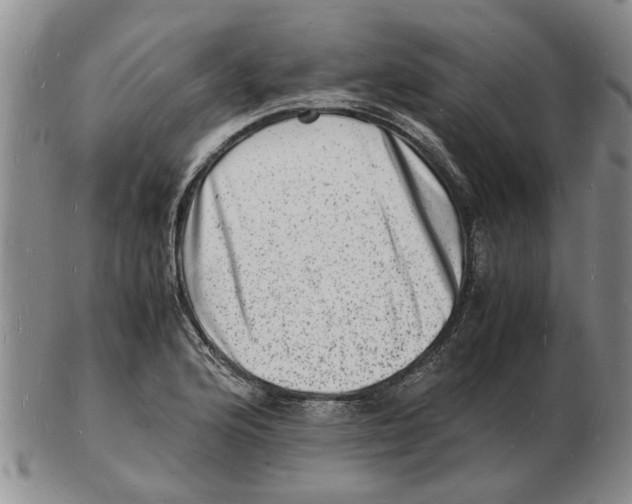 X0000102781176200809151056