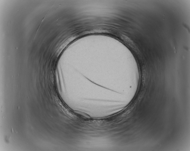 X0000102781177200809151056