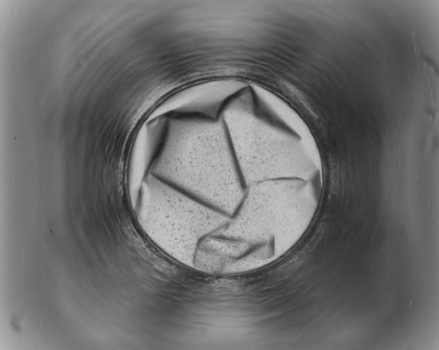 X0000102781178200809151056