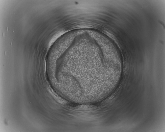 X0000102781179200809151056