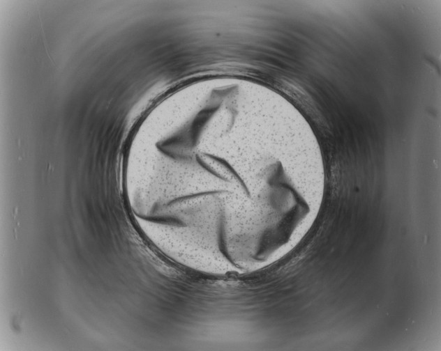 X0000102781180200809151056