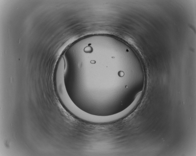 X0000102781181200809151056