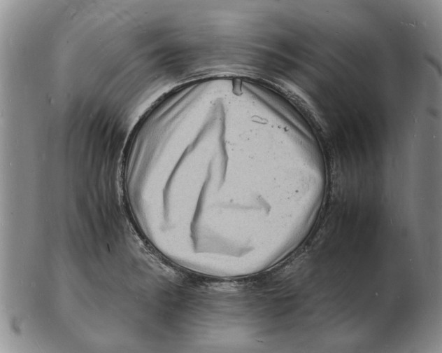 X0000102781182200809151056