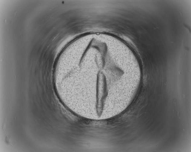 X0000102781183200809151056