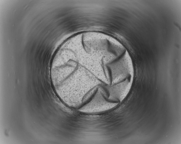 X0000102781184200809151056