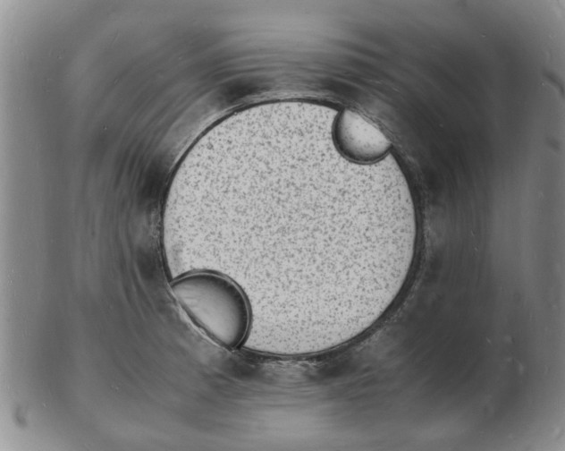 X0000102781185200809151056