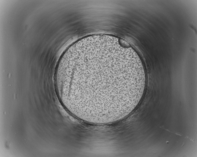 X0000102781189200809151056