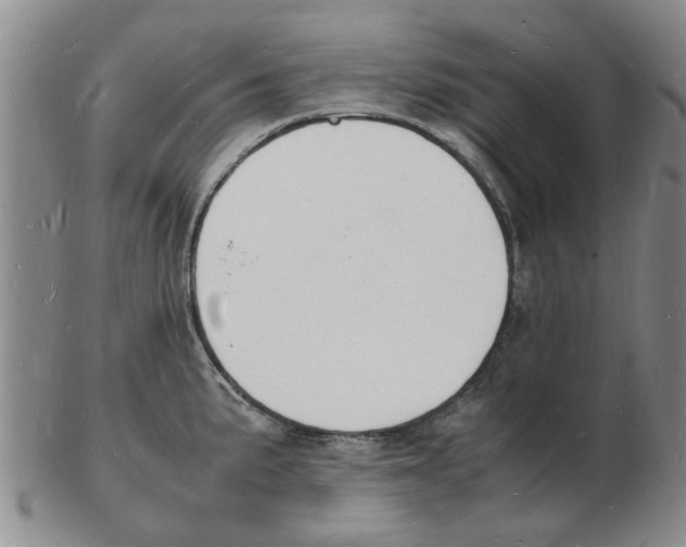 X0000102781191200809151056