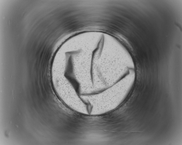 X0000102781192200809151056