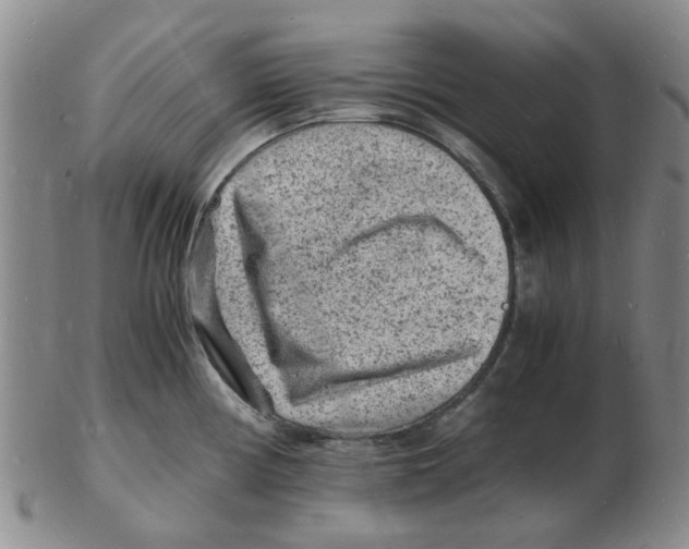 X0000102781194200809151056