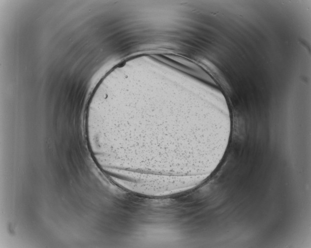 X0000102781196200809151056