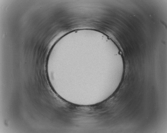 X0000102781197200809151056