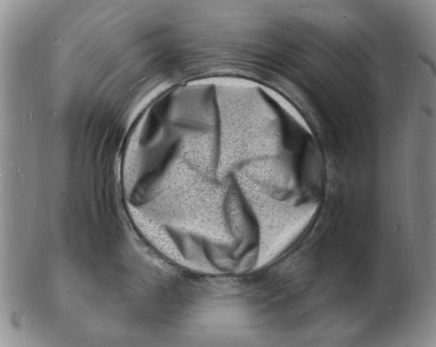 X0000102781198200809151056