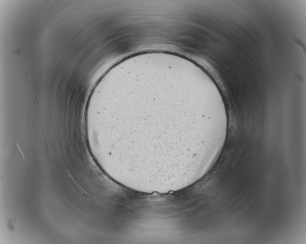 X0000102781199200809151056