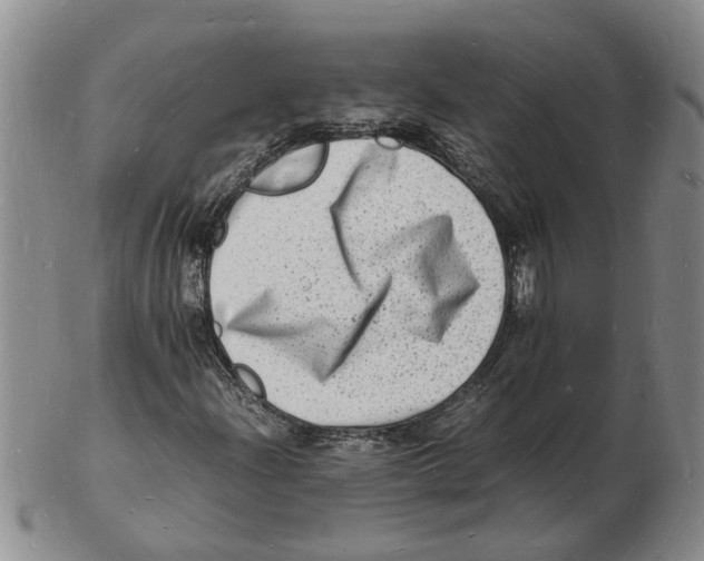 X0000102781204200809151055