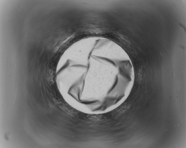 X0000102781205200809151055