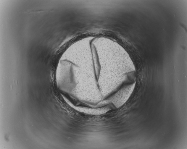 X0000102781206200809151055