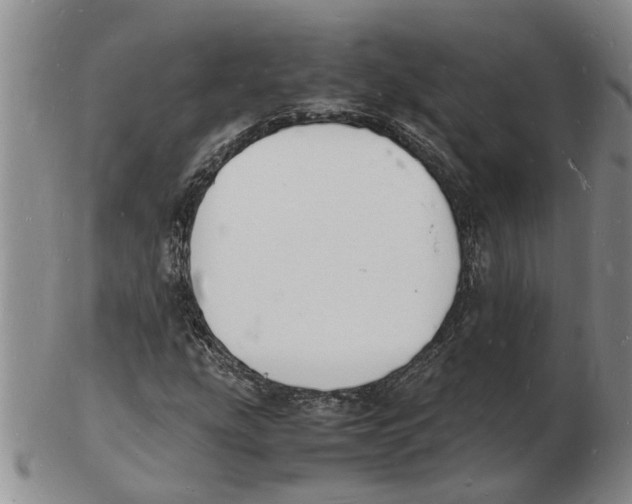 X0000102781207200809151055